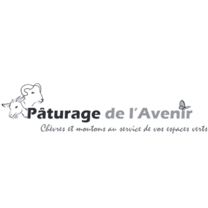 Illustration de l'article « Agence de communication en Savoie » — Maud Communication, freelance en communication en Maurienne