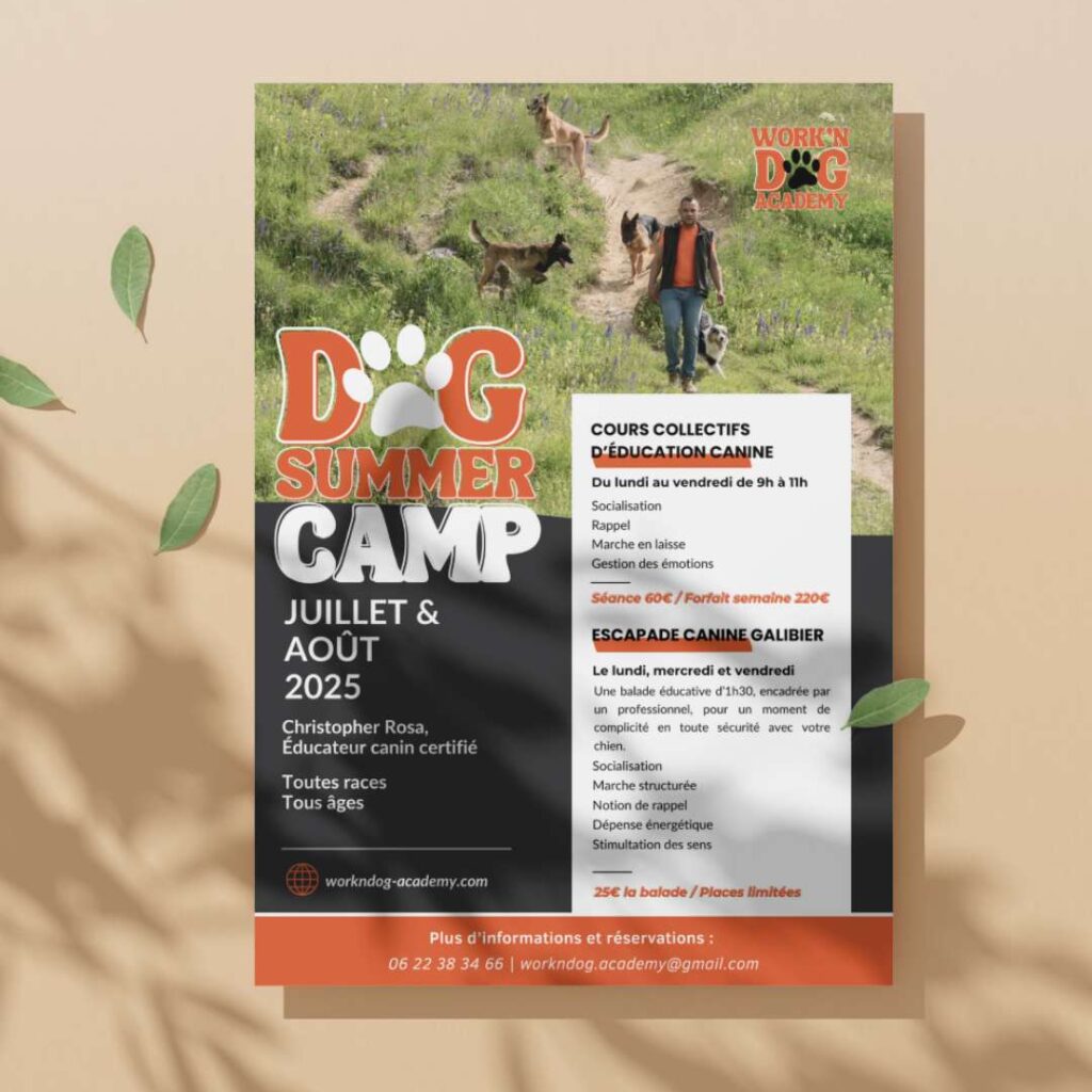 Affiche personnalisée pour le Dog Summer Camp en montagne à Valloire.