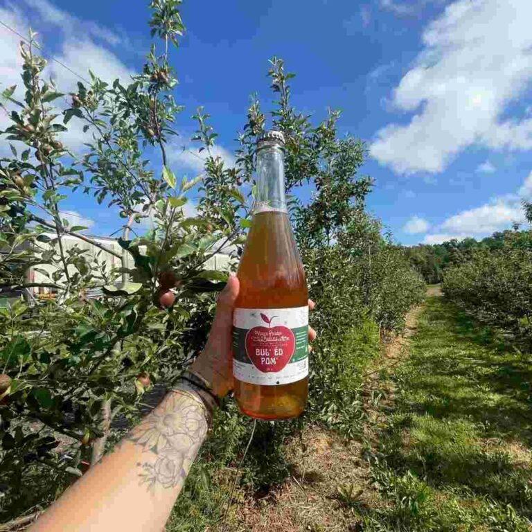 Étiquette personnalisée sur une bouteille de jus de pomme tenue dans un verger.