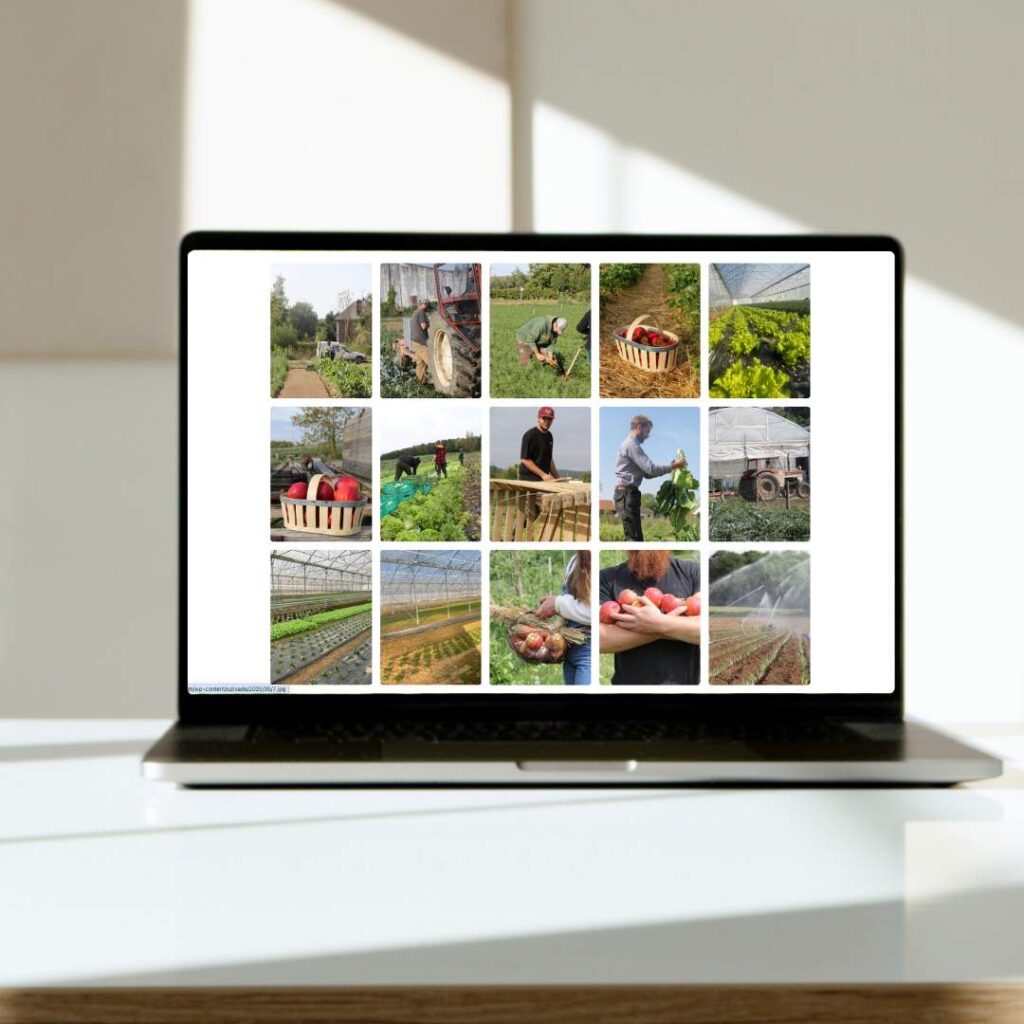 Galerie photo du Verger Potager présentant les récoltes et les cultures locales présent sur leurs site interne.