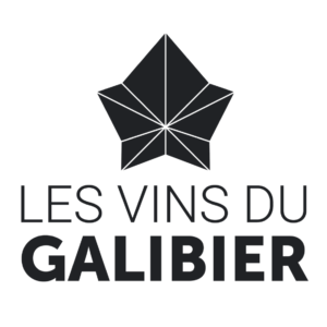 Logo Vins du Galibier créé par Maud Communication, freelance en communication en Maurienne