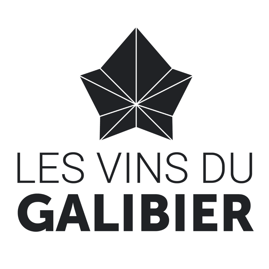 Logo les vins du galibier